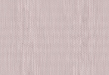 Обои Hookedonwalls Exotique 17205