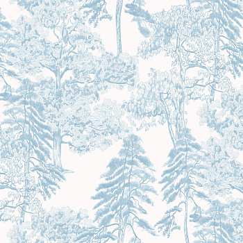 Обои Ambient 4 | Am5006