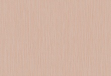 Обои Hookedonwalls Exotique 17202