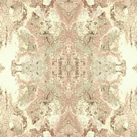 Обои YORK Candice Olson Botanical Dreams NA0595