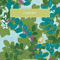 Каталог Canopy