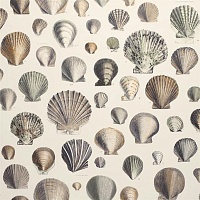 Обои Designers Guild Picture Book John Derian 