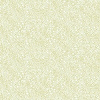 Обои YORK Rifle Paper Co RI5112