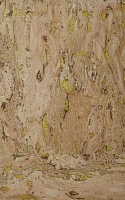 Обои Wallquest Natural Textures RH6018