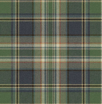 Обои Carl Robinson 21 | CL71204