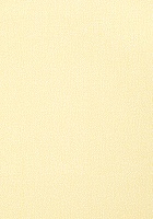 Обои Thibaut Paramount T2969