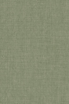 Обои Indienne | 18343