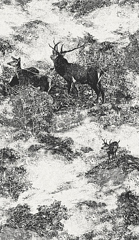 Обои Sauvage II | KT40600